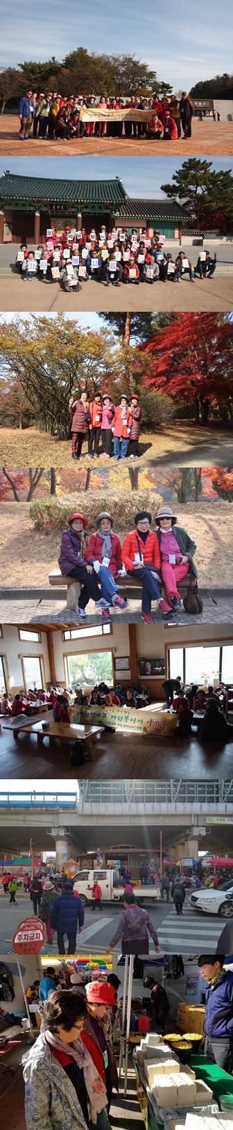 이미지 새창으로 크게보기