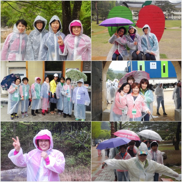 이미지 새창으로 크게보기
